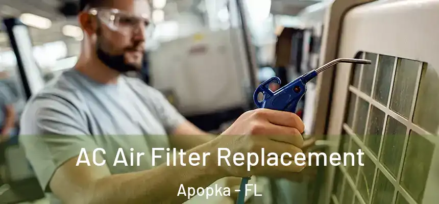 AC Air Filter Replacement Apopka - FL
