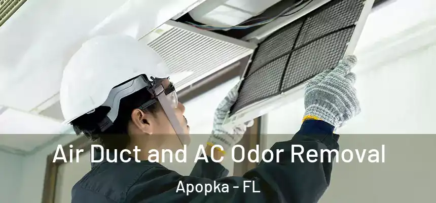 Air Duct and AC Odor Removal Apopka - FL