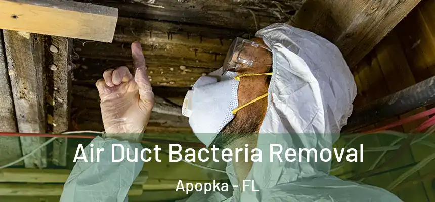 Air Duct Bacteria Removal Apopka - FL