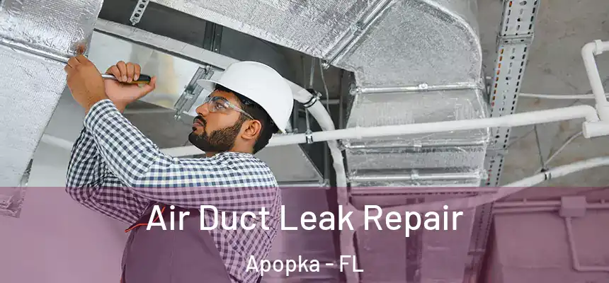 Air Duct Leak Repair Apopka - FL