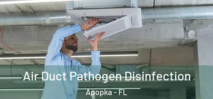 Air Duct Pathogen Disinfection Apopka - FL