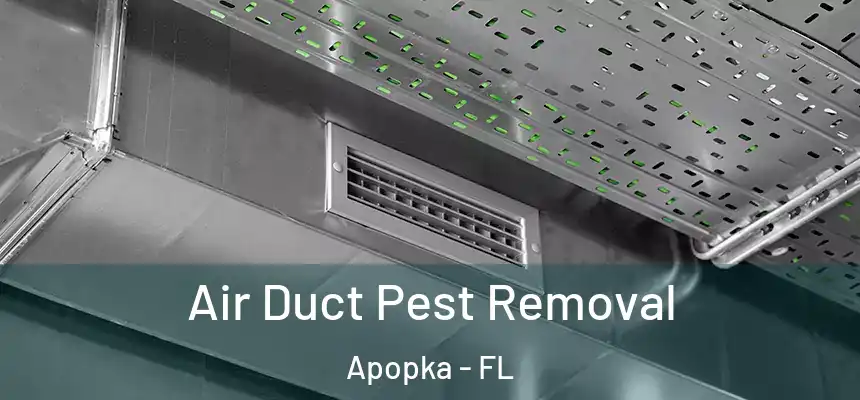 Air Duct Pest Removal Apopka - FL