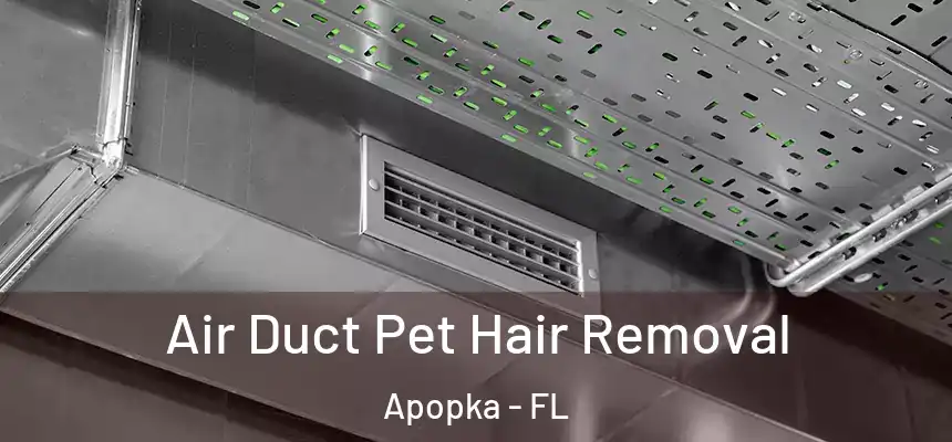 Air Duct Pet Hair Removal Apopka - FL