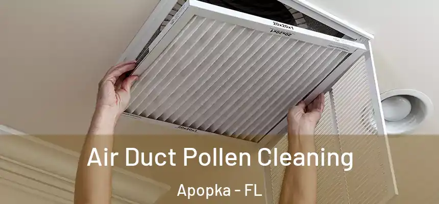 Air Duct Pollen Cleaning Apopka - FL