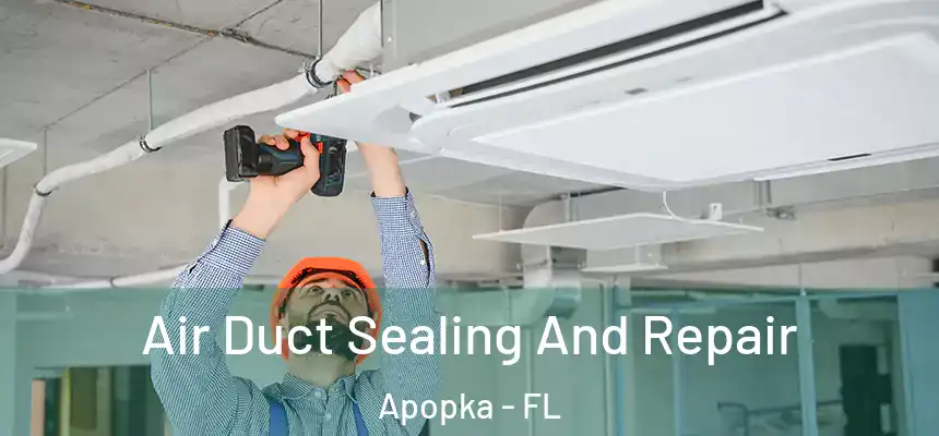 Air Duct Sealing And Repair Apopka - FL