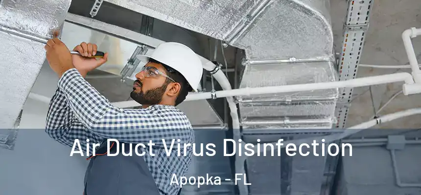 Air Duct Virus Disinfection Apopka - FL
