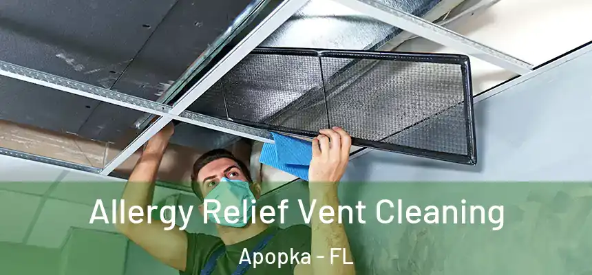 Allergy Relief Vent Cleaning Apopka - FL
