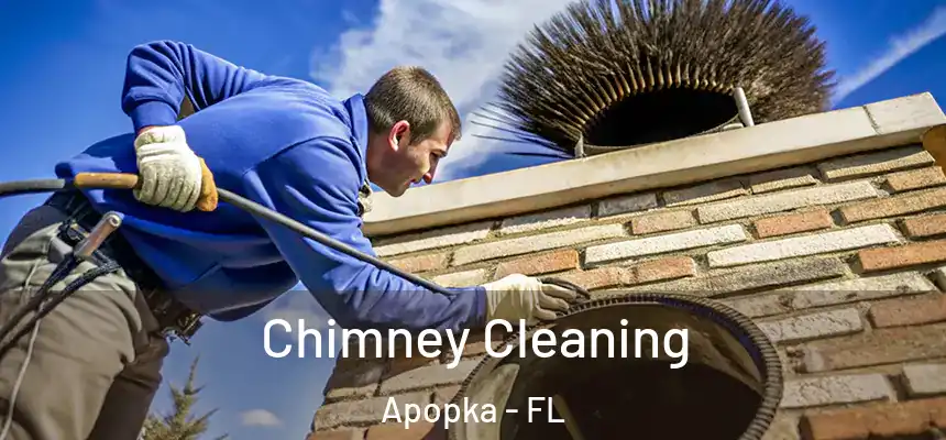 Chimney Cleaning Apopka - FL