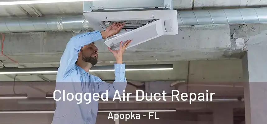 Clogged Air Duct Repair Apopka - FL