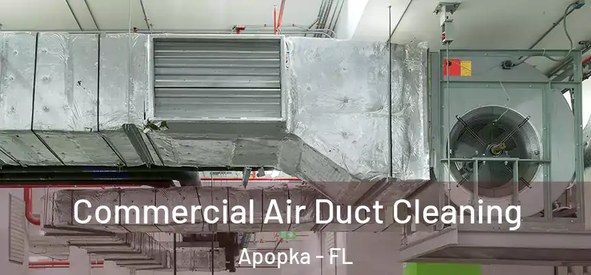 Commercial Air Duct Cleaning Apopka - FL