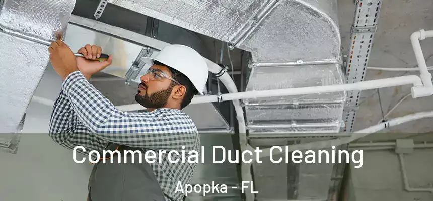 Commercial Duct Cleaning Apopka - FL