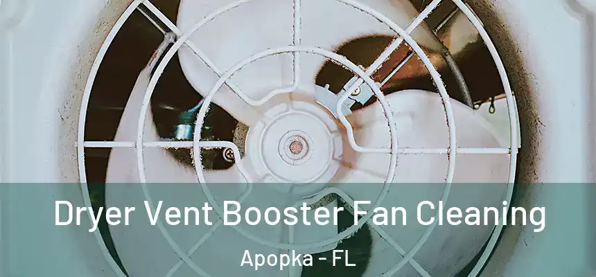 Dryer Vent Booster Fan Cleaning Apopka - FL