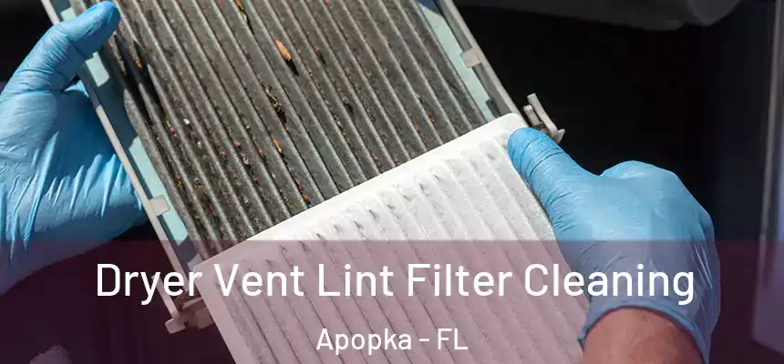 Dryer Vent Lint Filter Cleaning Apopka - FL
