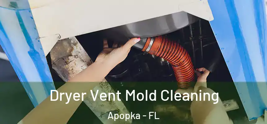 Dryer Vent Mold Cleaning Apopka - FL