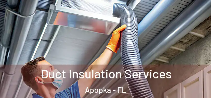 Duct Insulation Services Apopka - FL