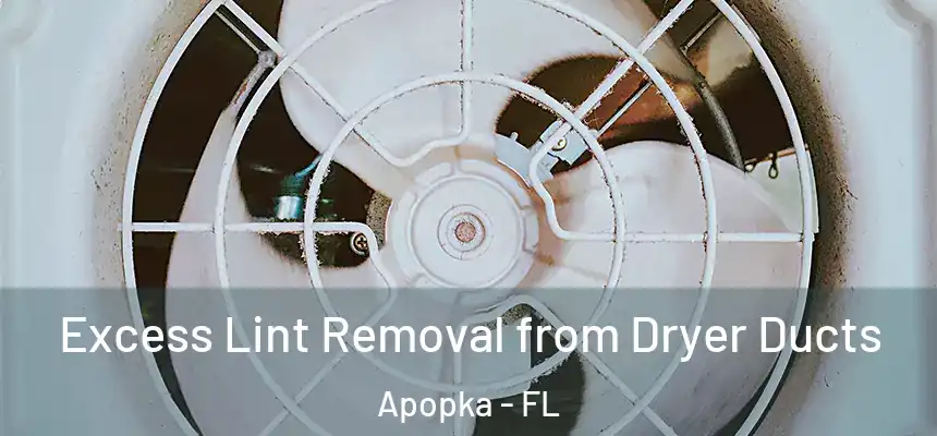 Excess Lint Removal from Dryer Ducts Apopka - FL