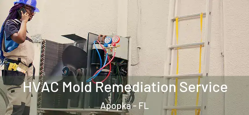 HVAC Mold Remediation Service Apopka - FL