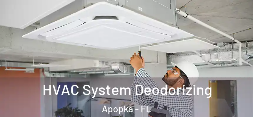 HVAC System Deodorizing Apopka - FL