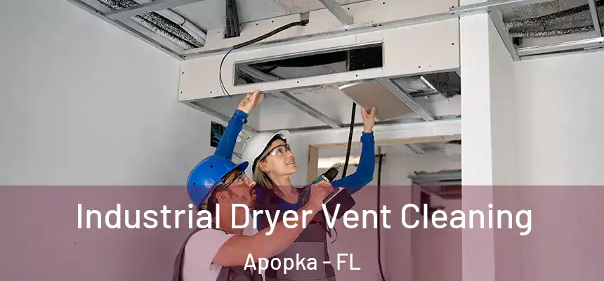 Industrial Dryer Vent Cleaning Apopka - FL