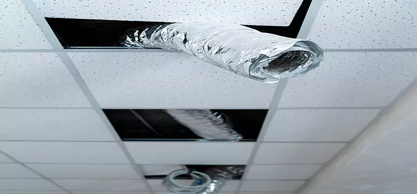 Affordable HVAC Sanitizing After Pest Removal in Apopka
