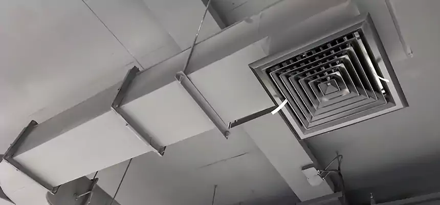 Restorative Allergy Relief Vent Cleaning – Coil, Blower & Housing Detail in Apopka