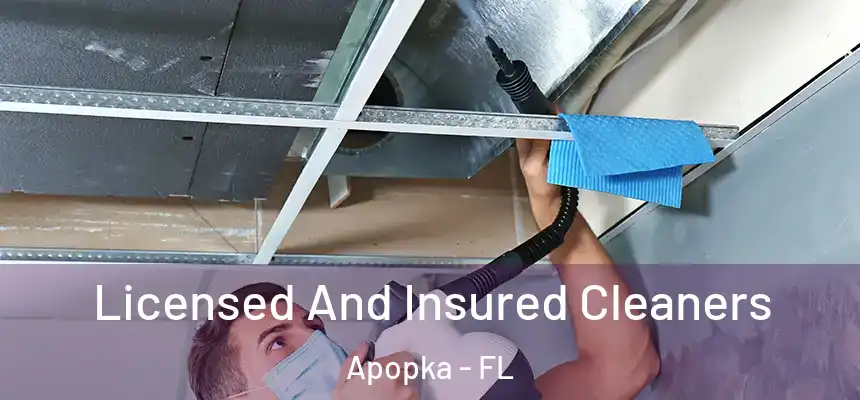 Licensed And Insured Cleaners Apopka - FL