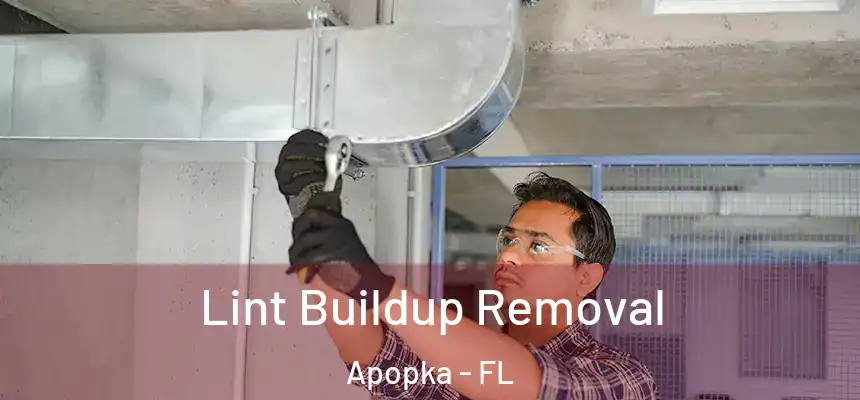 Lint Buildup Removal Apopka - FL