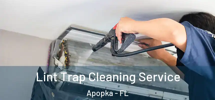 Lint Trap Cleaning Service Apopka - FL