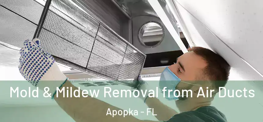 Mold & Mildew Removal from Air Ducts Apopka - FL