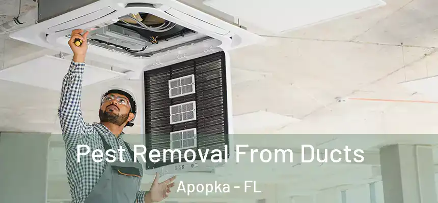 Pest Removal From Ducts Apopka - FL
