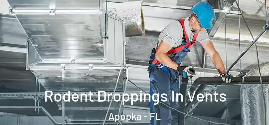 Rodent Droppings In Vents Apopka - FL