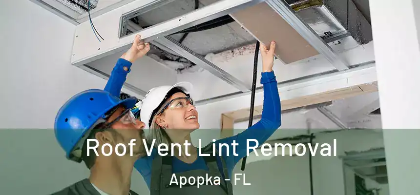 Roof Vent Lint Removal Apopka - FL
