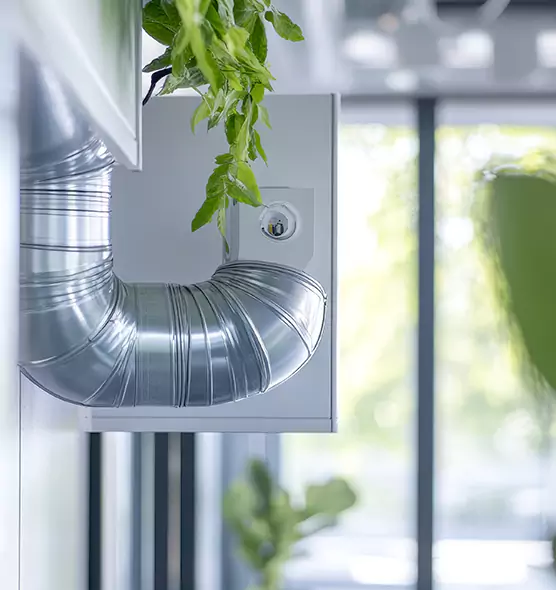Professional Eco-Safe Dryer Vent Cleaning in Apopka, FL