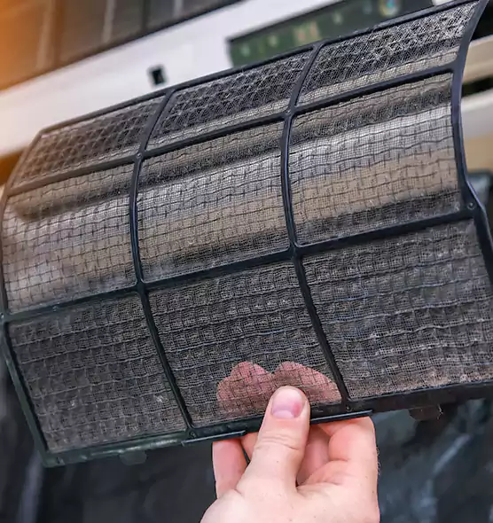 About Pet Dander Duct Cleaning in Apopka, FL